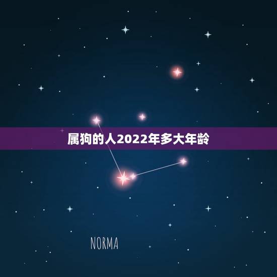 属狗的人2022年多大年龄,狗年生的人今年多大了 属狗的人2022年多大年龄,狗年生的人今年多大了