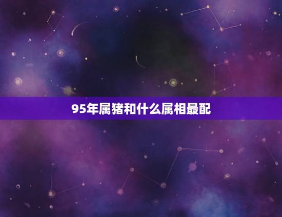 95年属猪和什么属相最配，95年属猪男的和什么属相最配？