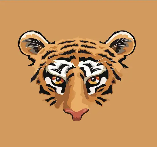 74年属虎人今年的运气(如何)