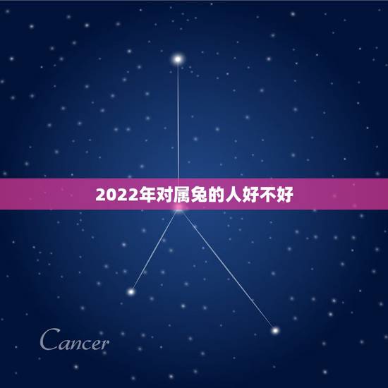 2022年对属兔的人好不好，2022年属兔的什么环境下更好