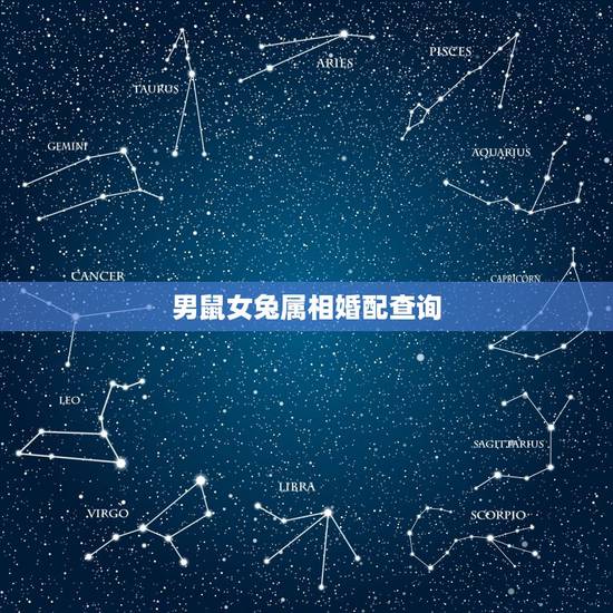 男鼠女兔属相婚配查询，男属兔女属鼠相配吗 详细�0�3