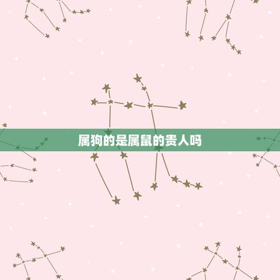 属狗的是属鼠的贵人吗,属狗的人的财运贵人 属狗的是属鼠的贵人吗,属狗的人的财运贵人
