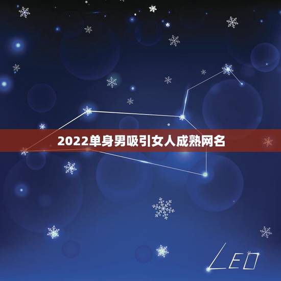 2022单身男吸引女人成熟网名，最新单身女网名