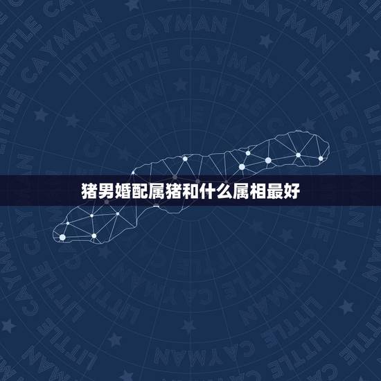 猪男婚配属猪和什么属相最好,属猪的男人和什么属相最配 猪男婚配属猪和什么属相最好,属猪的男人和什么属相最配