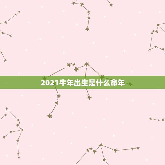 2021牛年出生是什么命年，2021牛年是什么命年