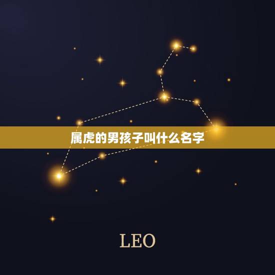 属虎的男孩子叫什么名字，请给姓和属虎的男孩取个好名字