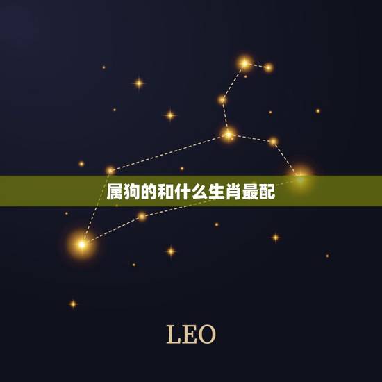 属狗的和什么生肖最配,属狗男的和什么属相最配 属狗的和什么生肖最配,属狗男的和什么属相最配
