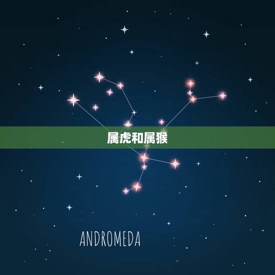 属虎和属猴,属虎和属猴的配吗 属虎和属猴,属虎和属猴的配吗