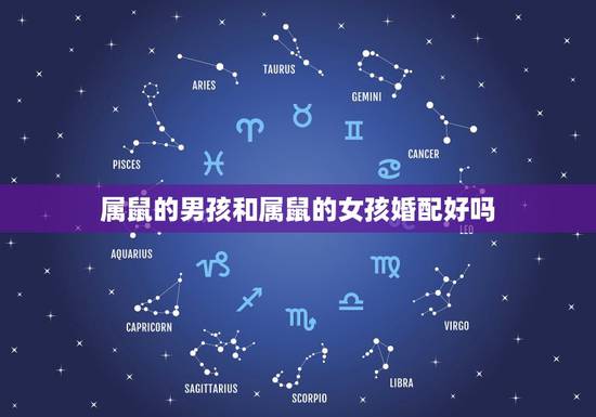 属鼠的男孩和属鼠的女孩婚配好吗，属鼠的男人和属猪的女人婚配可以吗？