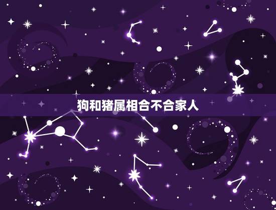 狗和猪属相合不合家人,狗和猪属相合不合 狗和猪属相合不合家人,狗和猪属相合不合