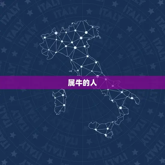属牛的人 属牛的人