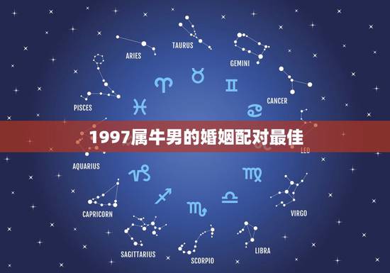 1997属牛男的婚姻配对最佳，属牛85的婚姻和97羊命运