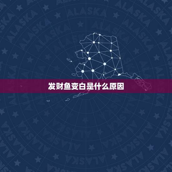 发财鱼变白是什么原因，发财鱼怎么白啦？
