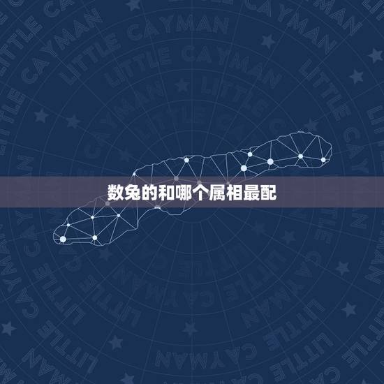 数兔的和哪个属相最配，属兔和什么属相最配