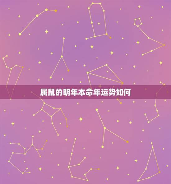 属鼠的明年本命年运势如何,属鼠的人2023年本命年运势及运程和每月运程 属鼠的明年本命年运势如何,属鼠的人2023年本命年运势及运程和每月运程