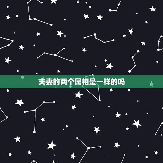 夫妻的两个属相是一样的吗,相同属相的两个人能结婚吗 夫妻的两个属相是一样的吗,相同属相的两个人能结婚吗