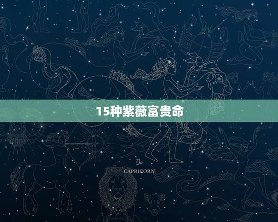 15种紫薇富贵命，紫薇五种命格你属于哪一种