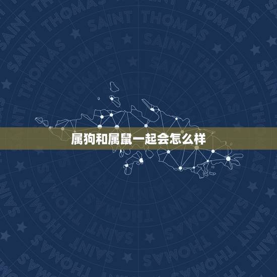 属狗和属鼠一起会怎么样，属鼠的和属狗的相克吗