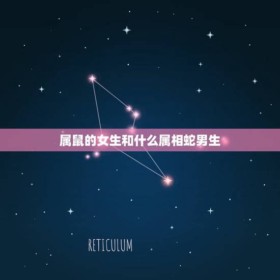 属鼠的女生和什么属相蛇男生，属蛇的女人和属鼠的男人