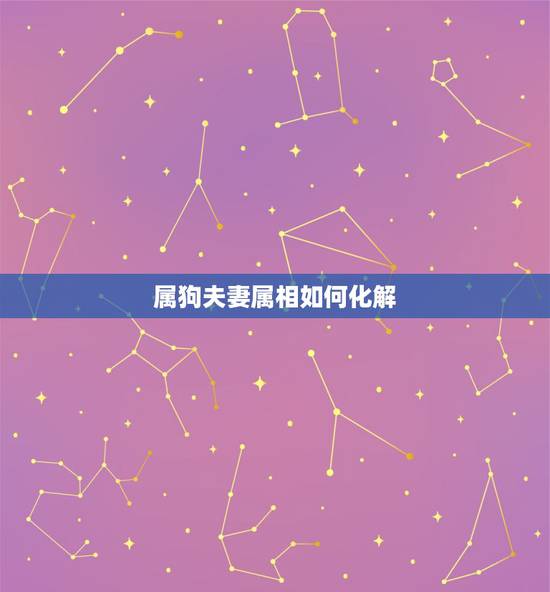 属狗夫妻属相如何化解，属狗属鸡夫妻怎么化解属相不合的？
