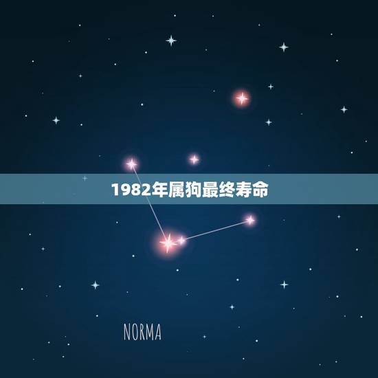 1982年属狗最终寿命,82年属狗女人一辈子的命运 1982年属狗最终寿命,82年属狗女人一辈子的命运