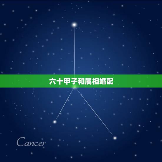 六十甲子和属相婚配,哪些属相婚配想不发财都难 六十甲子和属相婚配,哪些属相婚配想不发财都难