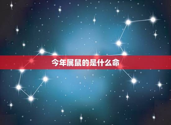 今年属鼠的是什么命,2022 属鼠的宝宝取名 今年属鼠的是什么命,2022 属鼠的宝宝取名