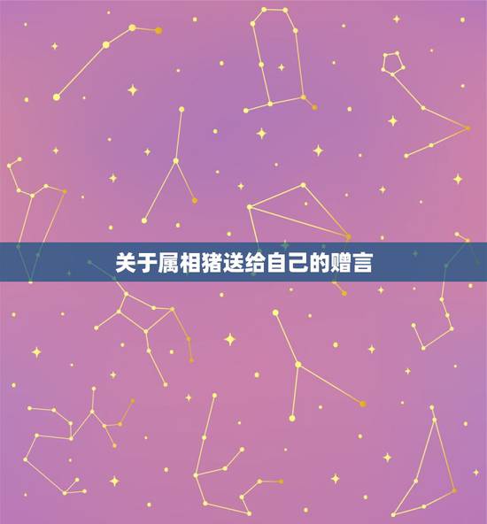 关于属相猪送给自己的赠言，今天是猪年我想发个朋友圈关于我的属相就是应该