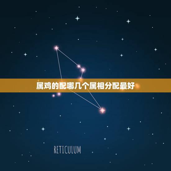 属鸡的配哪几个属相分配最好，属鸡和属什么的配最好