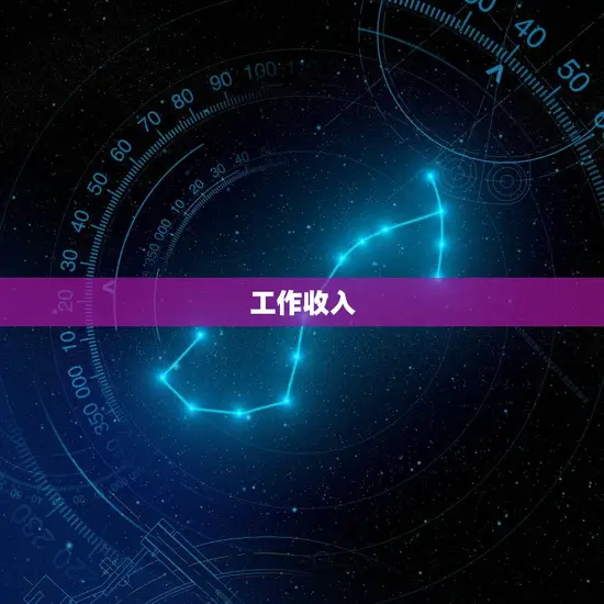 工作收入 工作收入