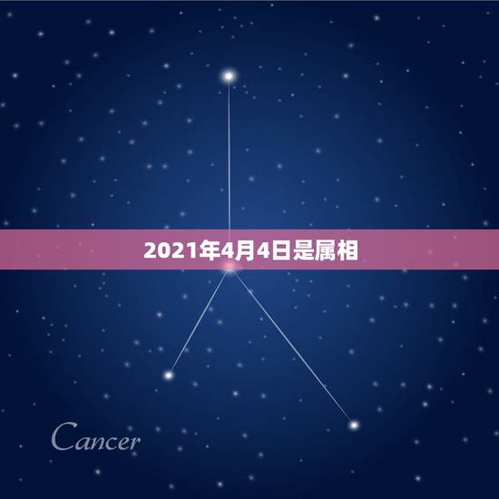 2021年4月4日是属相,2023年1月13日15点28是什么命? 2021年4月4日是属相,2023年1月13日15点28是什么命?