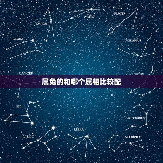 属兔的和哪个属相比较配，属兔的和什么属相最好