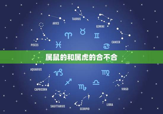 属鼠的和属虎的合不合,属虎和属鼠的合不合? 属鼠的和属虎的合不合,属虎和属鼠的合不合?