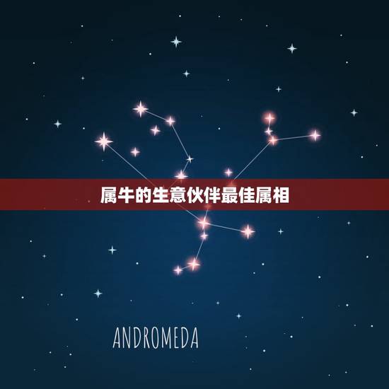 属牛的生意伙伴最佳属相，属牛人最佳生意伙伴是什么