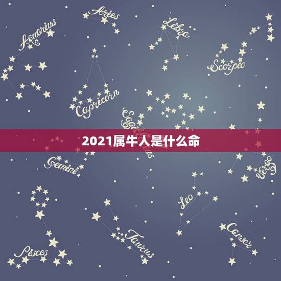2021属牛人是什么命，2021年出生的牛宝宝是什么命