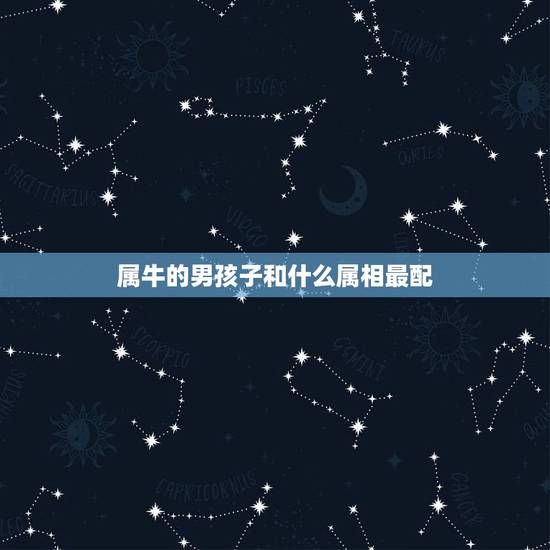 属牛的男孩子和什么属相最配，属牛的人(男孩)今年的运气如何？他的配偶是
