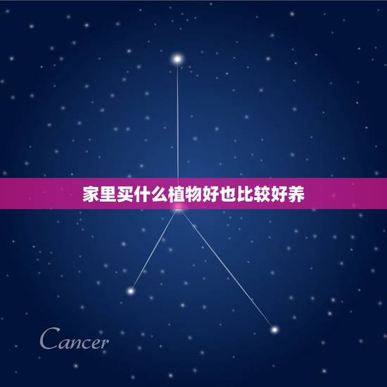 家里买什么植物好也比较好养,家里养什么植物风水好 家里买什么植物好也比较好养,家里养什么植物风水好