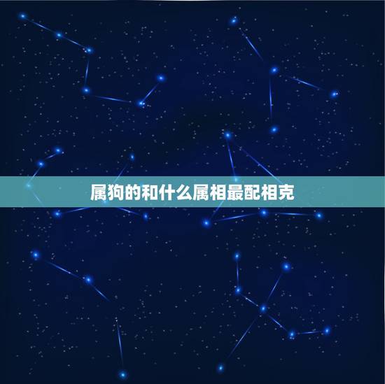属狗的和什么属相最配相克，属鼠女的和什么属相最配