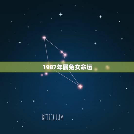 1987年属兔女命运,1987年属兔的命运 1987年属兔女命运,1987年属兔的命运
