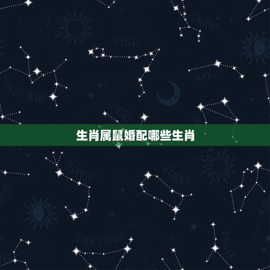 生肖属鼠婚配哪些生肖,属鼠的属相婚配表 属鼠的和什么属相最配? 生肖属鼠婚配哪些生肖,属鼠的属相婚配表 属鼠的和什么属相最配?