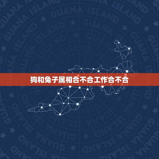 狗和兔子属相合不合工作合不合,属兔的和属狗的合不合? 狗和兔子属相合不合工作合不合,属兔的和属狗的合不合?