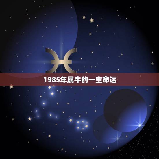 1985年属牛的一生命运