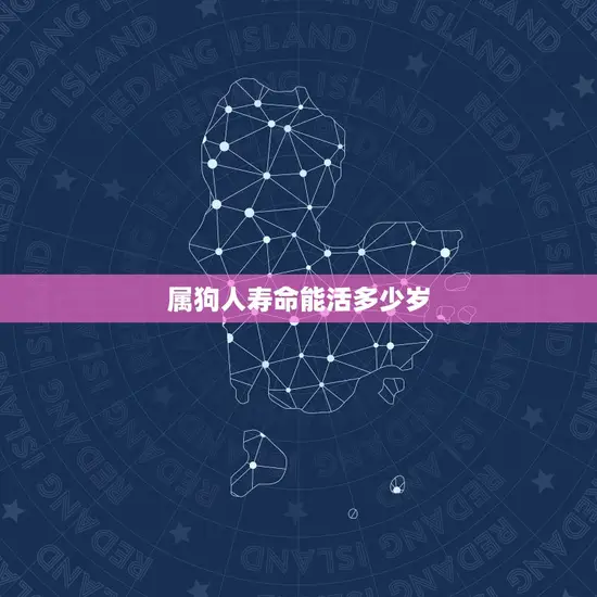 属狗人寿命能活多少岁