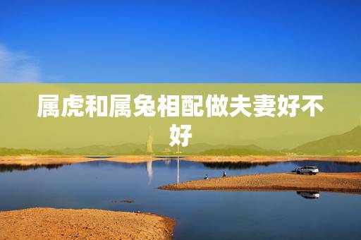 属虎和属兔相配做夫妻好不好,男属虎女属兔婚姻状况 属虎和属兔相配做夫妻好不好,男属虎女属兔婚姻状况