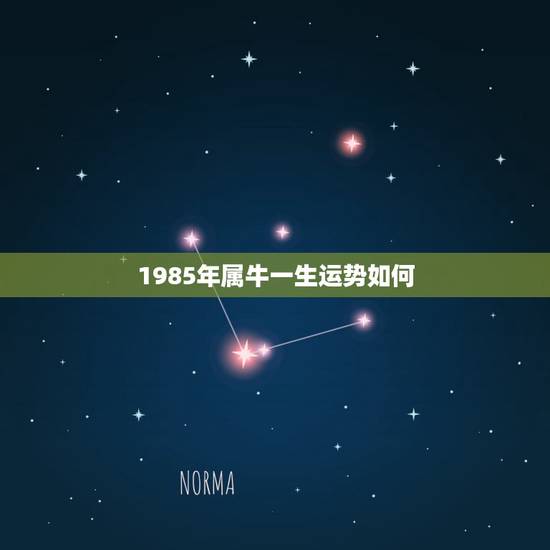 1985年属牛一生运势如何 属牛人的性格及婚配宜忌 1985年属牛一生运势如何 属牛人的性格及婚配宜忌