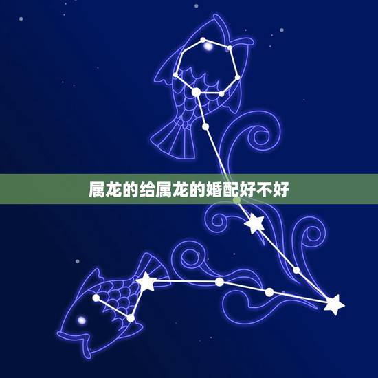 属龙的给属龙的婚配好不好,属龙的人和属龙的人结婚好不好 属龙的给属龙的婚配好不好,属龙的人和属龙的人结婚好不好