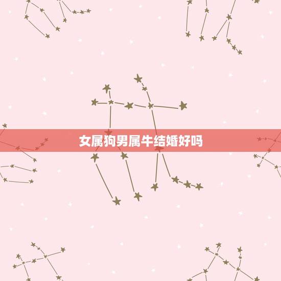 女属狗男属牛结婚好吗,属狗注定的姻缘是 女属狗男属牛结婚好吗,属狗注定的姻缘是