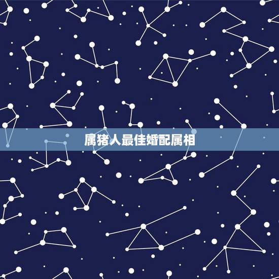 属猪人最佳婚配属相,属猪配什么属相最合适 属猪人最佳婚配属相,属猪配什么属相最合适