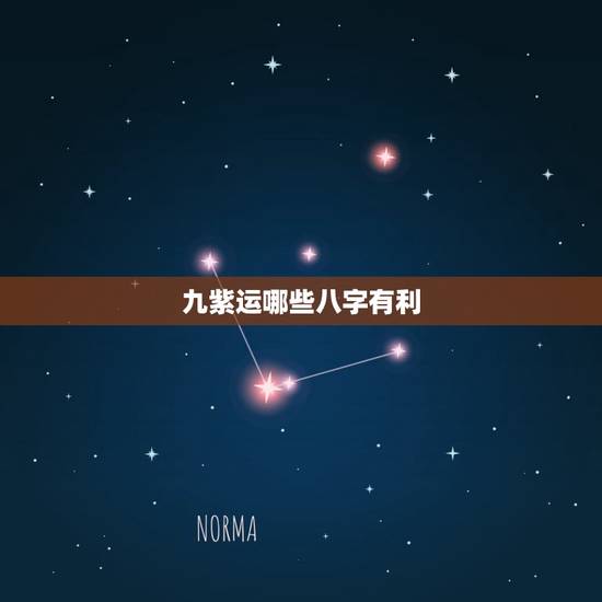 九紫运哪些八字有利，辛金喜九紫离火运吗