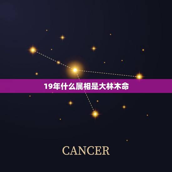 19年什么属相是大林木命,属蛇的大林木命找什么属相的男人结婚好 19年什么属相是大林木命,属蛇的大林木命找什么属相的男人结婚好